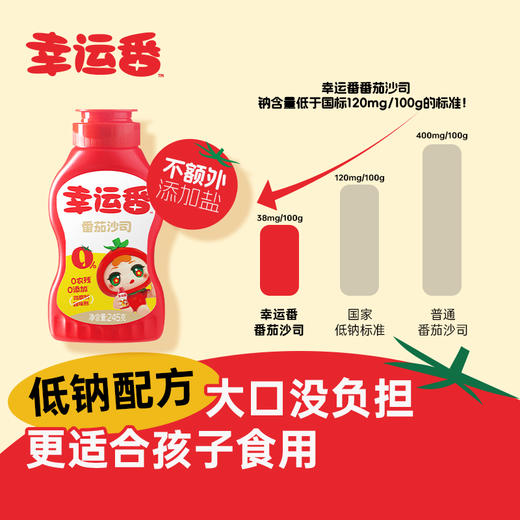 【松鲜鲜幸运番番茄沙司】低钠配方 更适合孩子食用 商品图4