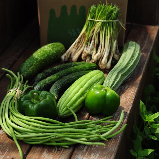 生态自选蔬菜箱| 绿家自产 *ecological vegetable box  | In-House Production 商品图1
