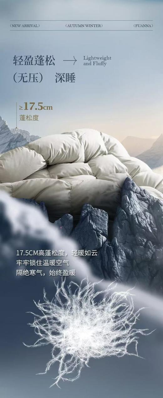 【富安娜】B座7F|富安娜/A类蓄暖鹅绒被/伊 尔顿（送1500元线下无门槛券！） 商品图7