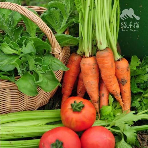 生态自选蔬菜箱| 绿家自产 *ecological vegetable box  | In-House Production 商品图2