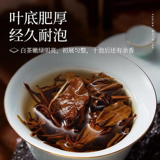 茶马世家2015年福鼎铂金寿眉小方片 商品图3