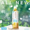 三得利（Suntory） 茉莉乌龙茶饮料 500ml 商品缩略图2