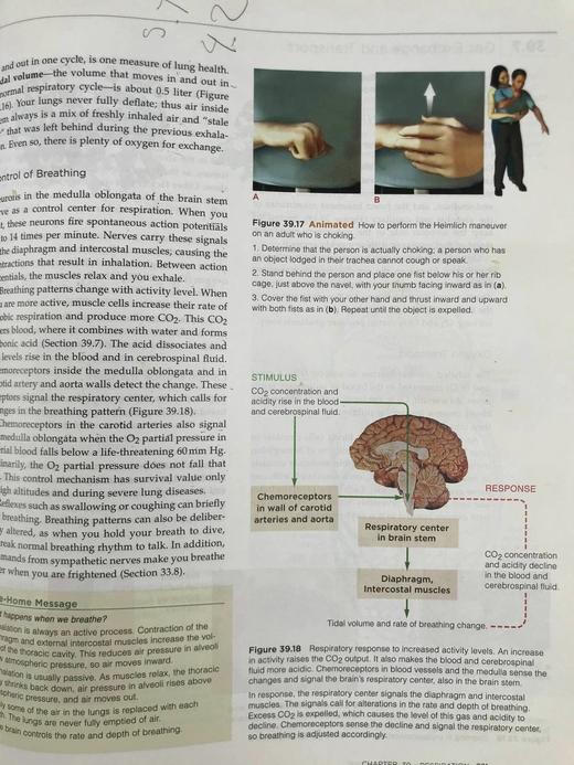 生物学：生命的统一性与多样性 数百幅插图 精装16开 商品图12
