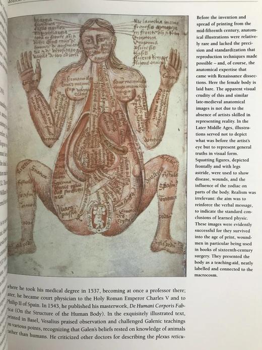 剑桥医学史（1996） 数百幅插图 精装16开 商品图11