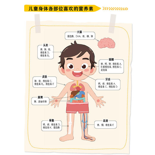 《小学生吃饭救星：食上无难事》 商品图7