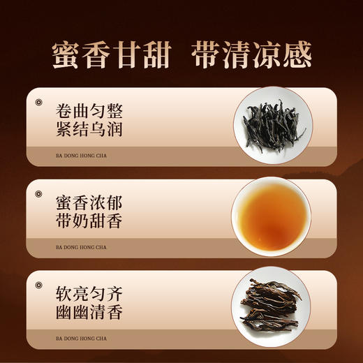 正山堂 巴东红 骏眉中国产区茶系列 湖北特级红茶茶叶罐装50g 商品图5