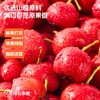 喵小侠富锌益生元山楂汁 酸甜可口 商品缩略图5