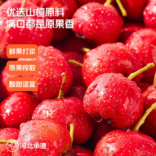 喵小侠富锌益生元山楂汁 酸甜可口 商品图5