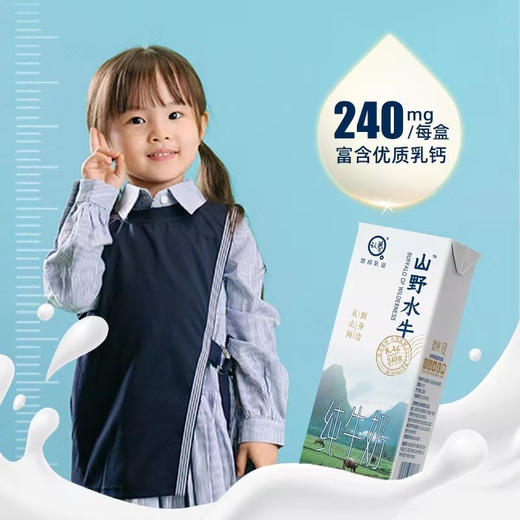 山野水牛牛奶！优质蛋白8.4g/盒，每100g富含高达4.2g的优质乳蛋白，一盒200ml，足足8.4g优质乳蛋白！营养全都来自于牛乳本身，没有科技与狠活！这样的水牛奶才能被孩子更好的吸收转化！ 商品图6