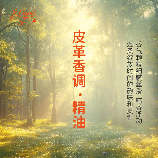 皮革香调·精油植物精油适用香水护肤洗护产品空间香氛大篷车精油 商品图1