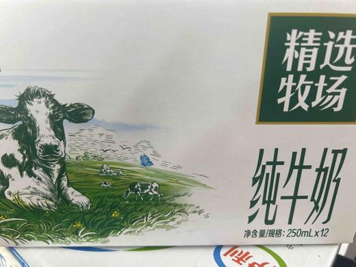 伊利精选牧场纯牛奶250ml*12盒 商品图0
