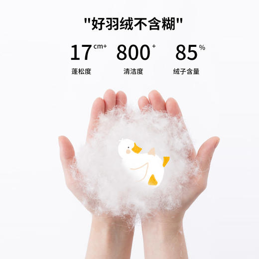 【商场同款】迪士尼男童羽绒外套234DS1180 商品图6