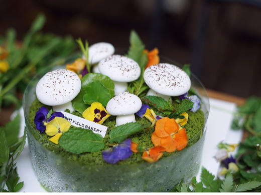 田也的小花园6寸（装饰蘑菇为可食用蛋白糖、用竹签固定在蛋糕上、食用时小心竹签；装饰植物无毒但不可食用） 商品图1