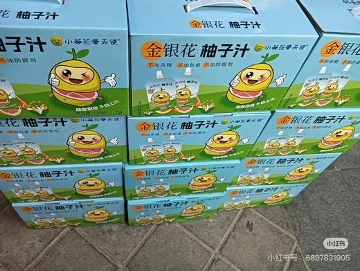 小天使金银花柚子汁一箱 商品图1