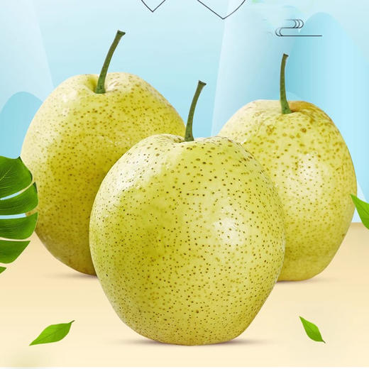 雪花梨 500g/份（超重部分补差价） 商品图0