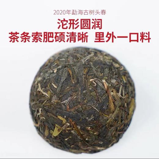 普洱 | 德丰昌 2020年 勐海古树御沱 生沱  熟沱  100g/个   商品图7
