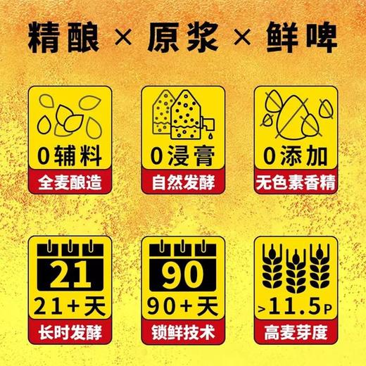 鲜啤30公里 11.5°P德式小麦鲜啤 1l/瓶 商品图4