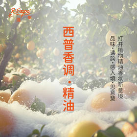 西普香调·精油 植物精油香氛 适用香水 护肤洗护产品 大篷车精油