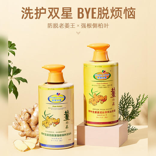 【香港琴叶Q&Y 生姜洗发水】防脱发固发增发 控油 蓬松 去屑 止痒 老人小孩孕妇可用 商品图1