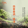 西普香调·精油 植物精油香氛 适用香水 护肤洗护产品 大篷车精油 商品缩略图2
