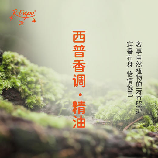 西普香调·精油 植物精油香氛 适用香水 护肤洗护产品 大篷车精油 商品图2