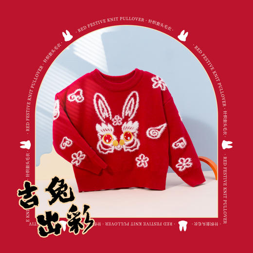 贝贝怡童装女童套头毛衣ZB3DS065 商品图2