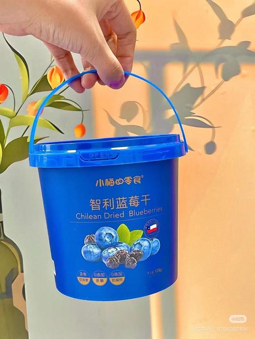 蓝莓干2盒 商品图0