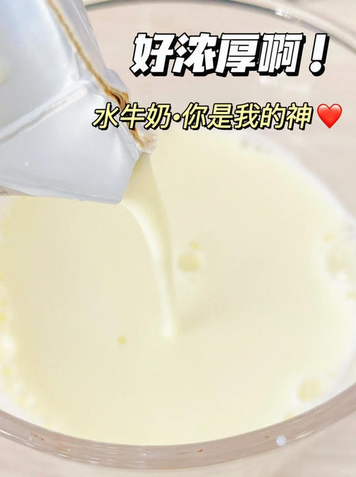 山野水牛牛奶！优质蛋白8.4g/盒，每100g富含高达4.2g的优质乳蛋白，一盒200ml，足足8.4g优质乳蛋白！营养全都来自于牛乳本身，没有科技与狠活！这样的水牛奶才能被孩子更好的吸收转化！ 商品图1