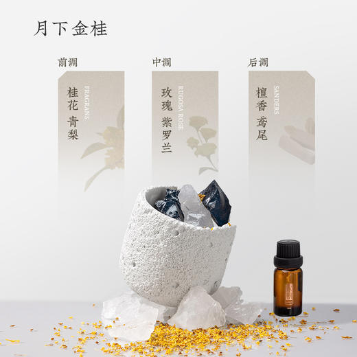 [屁侠推荐]一闻心动 宋朝香薰冷山系列 香薰扩香石/蜡烛 “五星酒店”同款香  商品图5