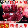【甄选】会理突尼斯软籽石榴 源头直发 商品缩略图2