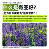 有机奇亚籽官方正品饱腹羽衣甘蓝粉奇亚籽肥减专用独立小包装 商品缩略图1