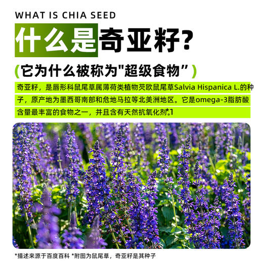 有机奇亚籽官方正品饱腹羽衣甘蓝粉奇亚籽肥减专用独立小包装 商品图1