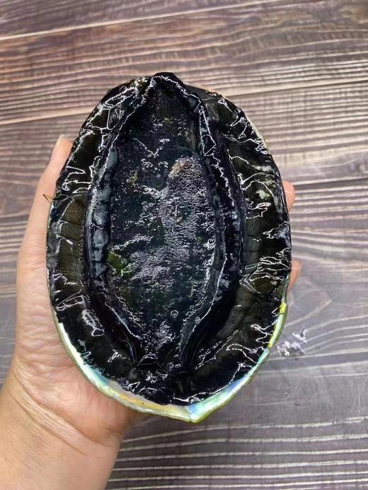 深海大黑金鲍【礼盒装 】 生长在火山口的黑金大鲍鱼活冻 商品图2