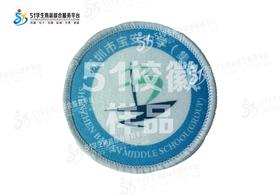 通版深圳市宝安中学（集团）包边校徽布标姓名贴章可缝烫现货发51