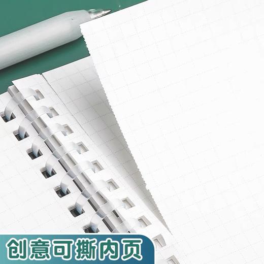 晨光文具 软线圈本空白笔记本 本味白纸内页b5本册 1本 不硌手记事本记录本思维导图 商品图3