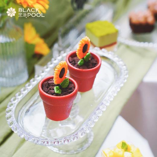 向日葵花园丨主题甜品台 商品图7