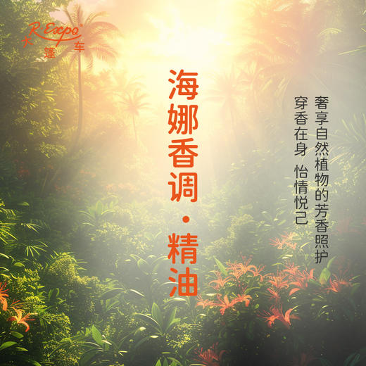 海娜香调·精油 适用香水油护肤品护体香 大篷车精油 商品图2
