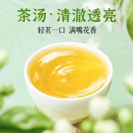 蔡府茉莉花茶90g 商品图8