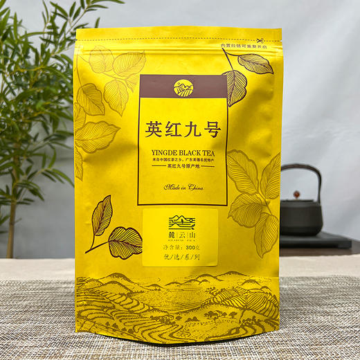 【配试饮】麓云山丨英红九号 英德红茶 一级 300g 袋装 商品图8