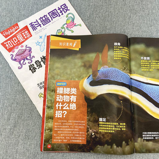 知识星球（Highlights中文版）杂志  半年/全年订阅 5-12岁科普 商品图4