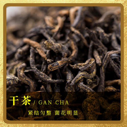 元正武夷山红茶茶叶金花红茶冠突散囊菌红茶盒装中粮研发礼盒装 商品图3