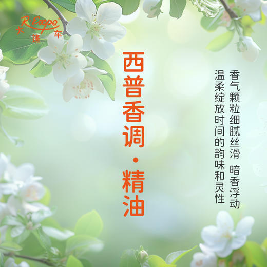 西普香调·精油 植物精油香氛 适用香水 护肤洗护产品 大篷车精油 商品图1