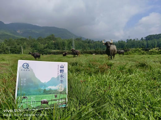 山野水牛牛奶！优质蛋白8.4g/盒，每100g富含高达4.2g的优质乳蛋白，一盒200ml，足足8.4g优质乳蛋白！营养全都来自于牛乳本身，没有科技与狠活！这样的水牛奶才能被孩子更好的吸收转化！ 商品图4