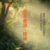 皮革香调·精油植物精油适用香水护肤洗护产品空间香氛大篷车精油 商品缩略图2