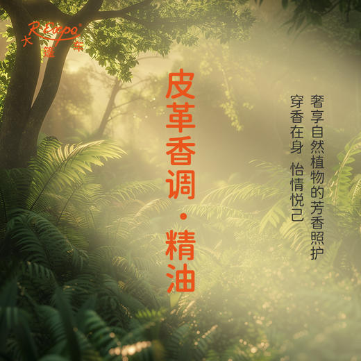 皮革香调·精油植物精油适用香水护肤洗护产品空间香氛大篷车精油 商品图2