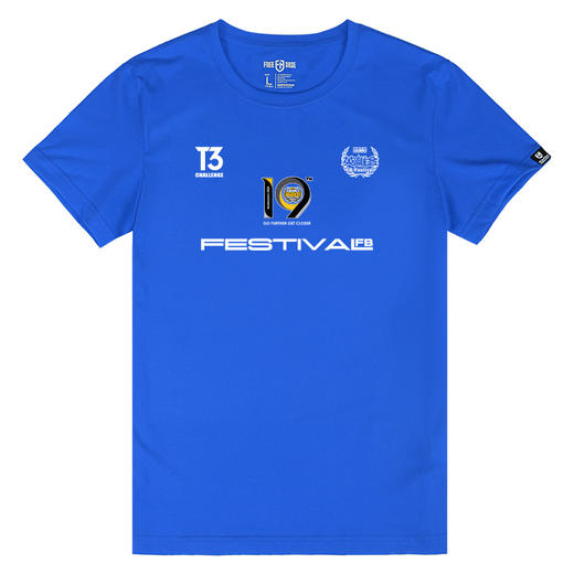 B款第10届-19届英雄会特别纪念款短袖T恤衫越野e族文创设计logo队服 NMT-2163 商品图8