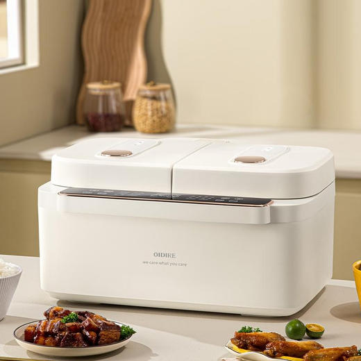 德国OIDIRE多功能双胆电饭煲【ZGC5.0】 商品图0