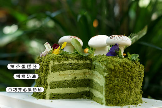 田也的小花园6寸（装饰蘑菇为可食用蛋白糖、用竹签固定在蛋糕上、食用时小心竹签；装饰植物无毒但不可食用） 商品图2