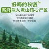 蔡府茉莉花茶90g 商品缩略图6