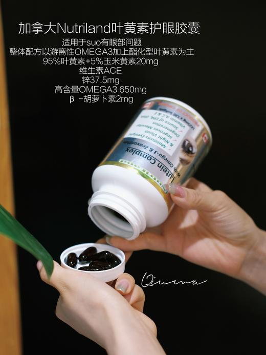 加拿大药房Nutriland护肝片/海豹油/护眼/辅酶Q10/关节炎/骨胶原合集 商品图0